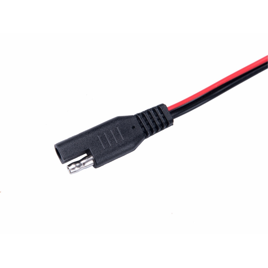 Extol Premium - Chargeur de batterie de voiture 9 étapes 6/12V 4A IP65