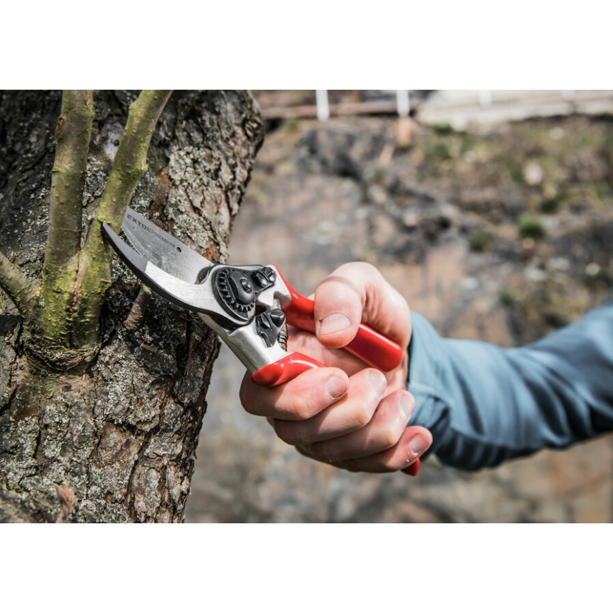 Extol Premium - Sécateur de jardinage 215 mm