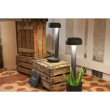 FARO 71206 - LED buitenarmatuur GROW LED/9W/230V IP65