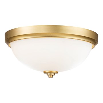 Feiss - Badkamer plafondlamp MALIBU 2xE27/60W/230V IP44