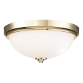 Feiss - Plafonnier de salle de bains MALIBU 2xE27/60W/230V IP44 doré