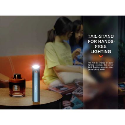 Fenix ECPBLUE - Lampe torche rechargeable avec batterie portative USB IP68 1600 brillant 504 h 5000 mAh bleu
