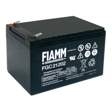 Fiamm FGC21202 - Lood-zuur accu cyclisch 12V/12Ah/faston 6,3mm