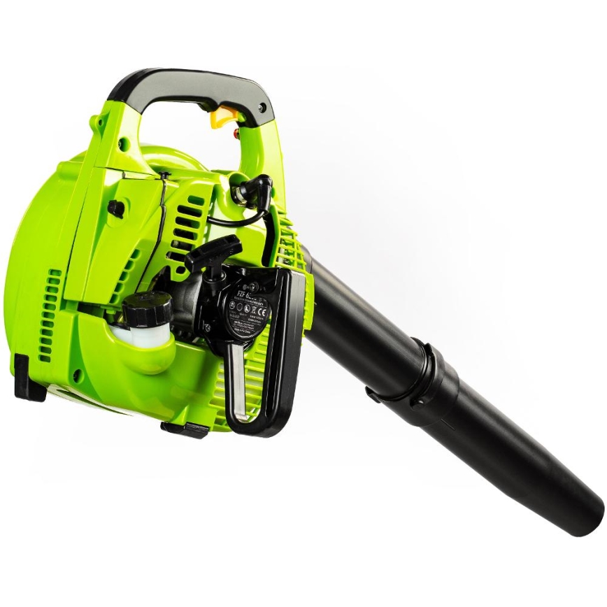 Fieldmann - Aspirateur de jardin à essence 800W