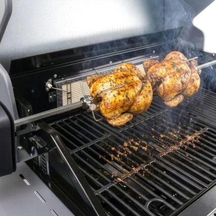 Fieldmann - Draaispies met 230V-motor, roestvrij staal