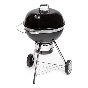 Fieldmann - Houtskoolgrill zwart/chroom
