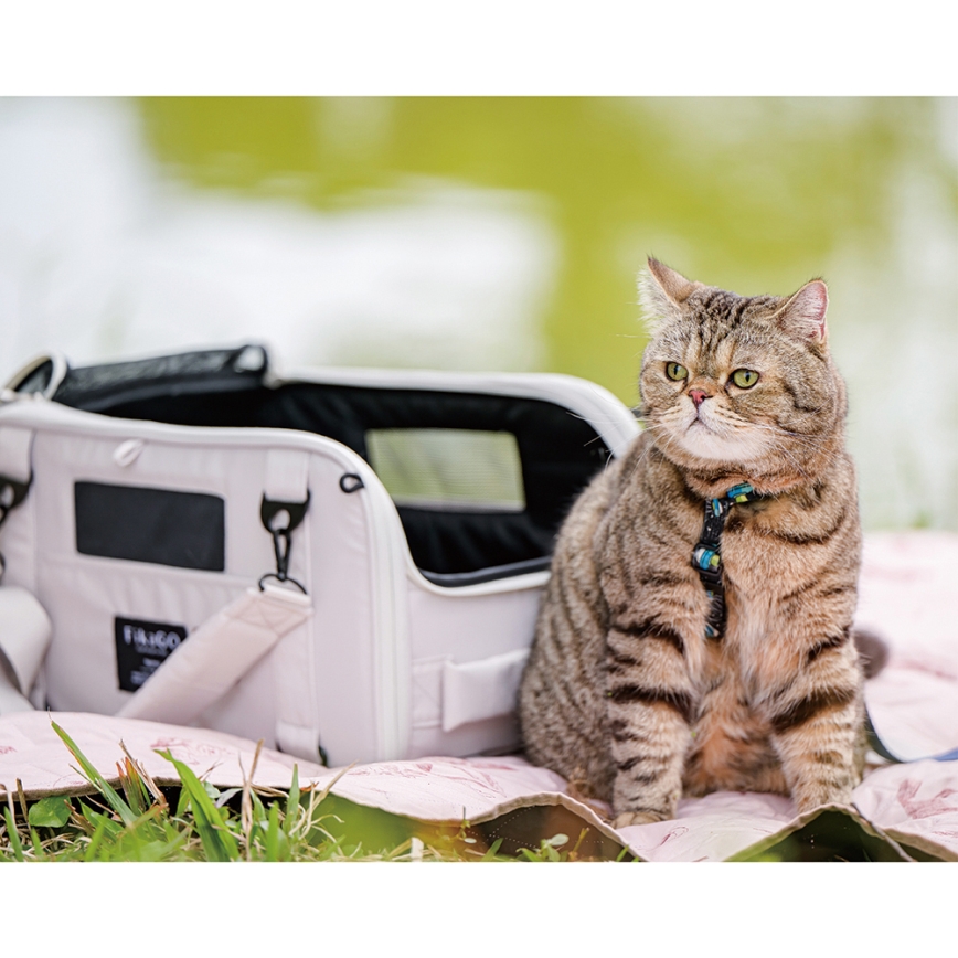 Fikago - Sac de voyage pour chiens et chats TRUFFLE Creamy Cloud