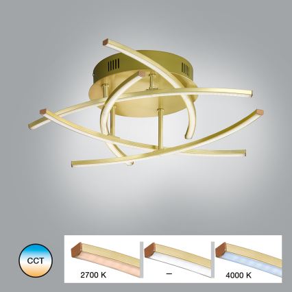 Fischer & Honsel - LED Dimbare opbouwkroonluchter CROSS 5xLED/4W/230V