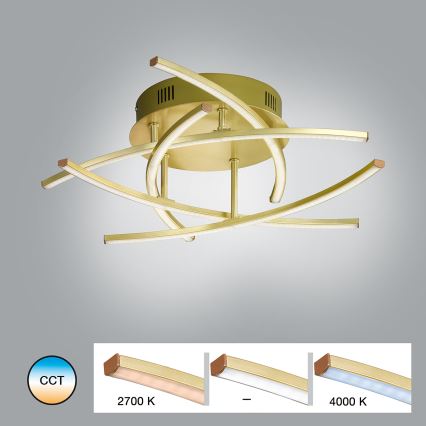 Fischer & Honsel - Lustre monté en surface LED à intensité variable CROSS 5xLED/4W/230V