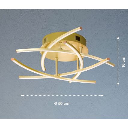 Fischer & Honsel - Lustre monté en surface LED à intensité variable CROSS 5xLED/4W/230V