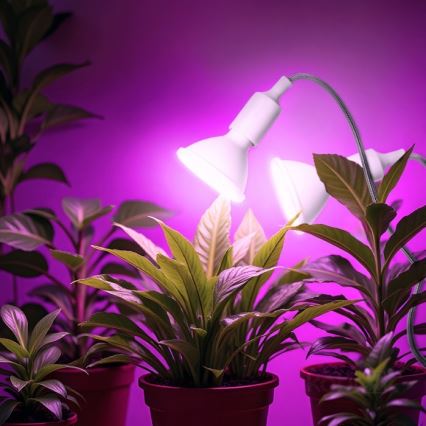 Flexibel tafellamp met clip voor het kweken van planten PLANTY 2xE27/30W/230V wit