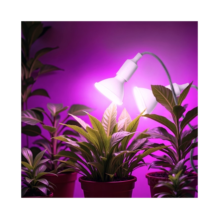 Flexibel tafellamp met clip voor het kweken van planten PLANTY 2xE27/30W/230V wit