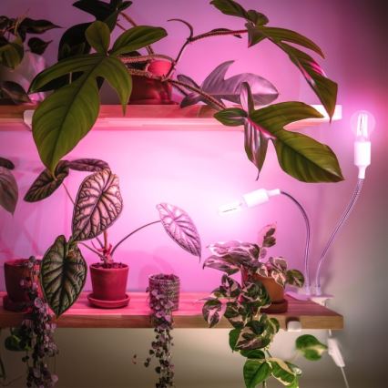 Flexibel tafellamp met clip voor het kweken van planten PLANTY 2xE27/30W/230V wit