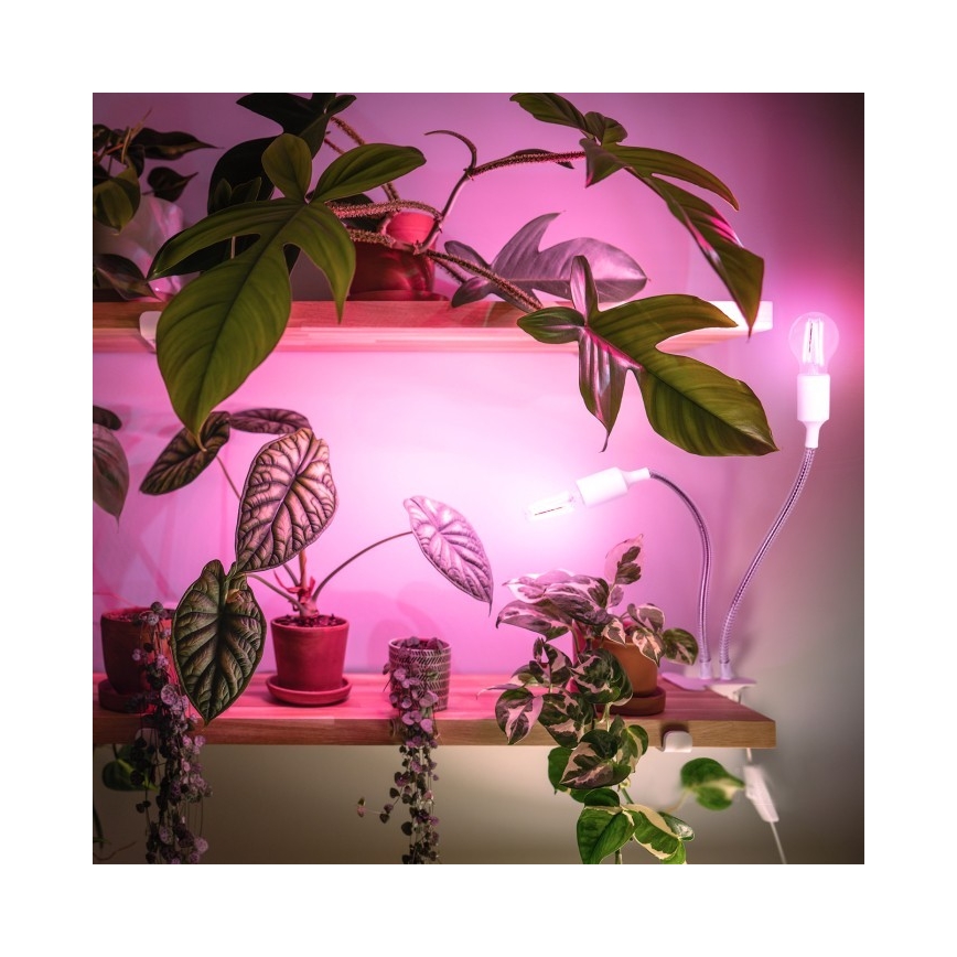 Flexibel tafellamp met clip voor het kweken van planten PLANTY 2xE27/30W/230V wit