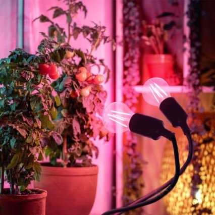 Flexibel tafellamp met clip voor het kweken van planten PLANTY 2xE27/30W/230V zwart