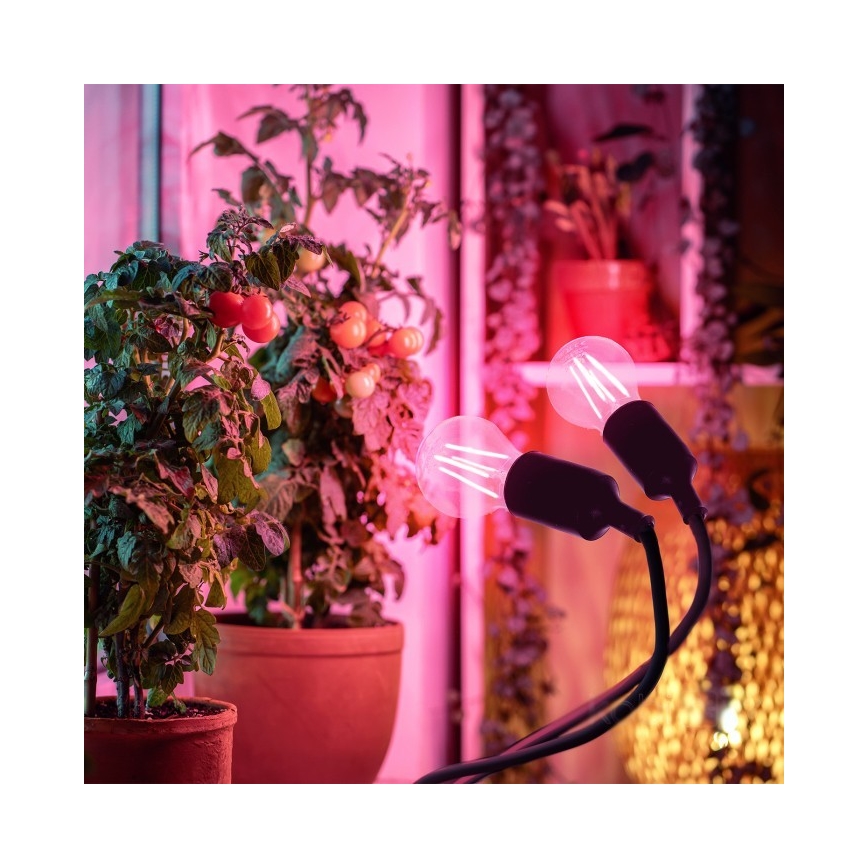 Flexibel tafellamp met clip voor het kweken van planten PLANTY 2xE27/30W/230V zwart