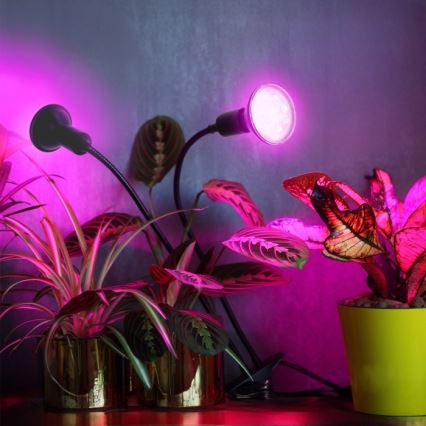 Flexibel tafellamp met clip voor het kweken van planten PLANTY 2xE27/30W/230V zwart