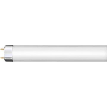 Fluorescentiebuis G13/36W/230V 120 cm