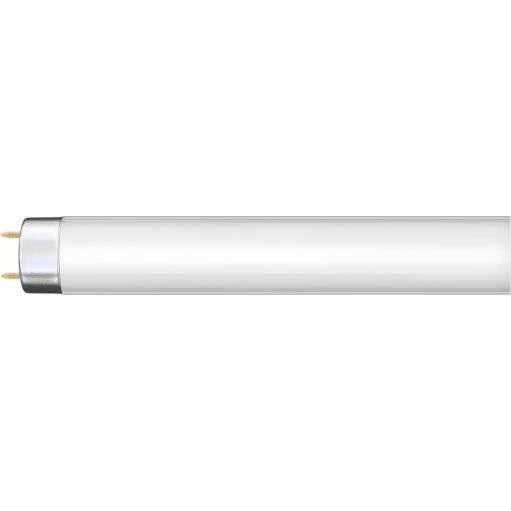 Fluorescentiebuis G13/36W/230V 120 cm