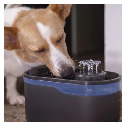 Fontaine à eau pour animaux 2,6 l/5V gris