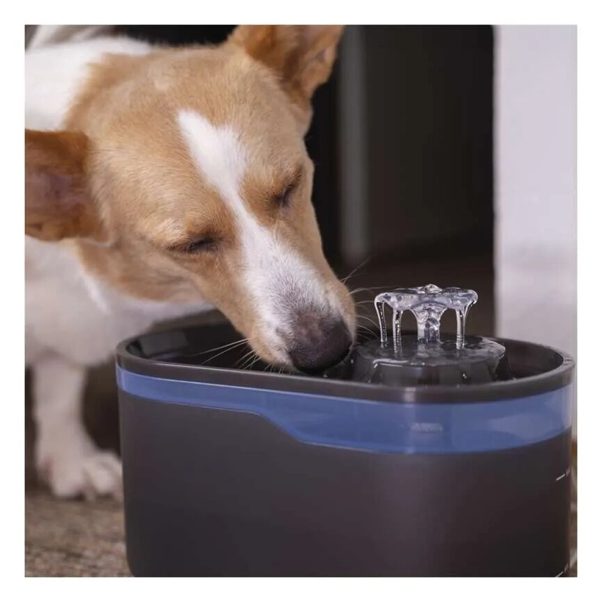 Fontaine à eau pour animaux 2,6 l/5V gris