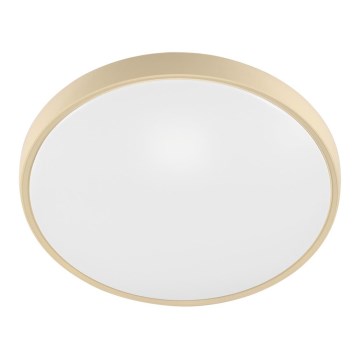 Fulgur 27480 - Cadre avec diffuseur pour plafonnier VERA 420 GOLD
