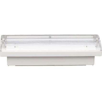 Fulgur s-43043 - Luminaire d'urgence FIWA LED/230V 1500 mAh IP65