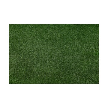 Gazon synthétique BELLIN 133x300 cm 18 mm vert
