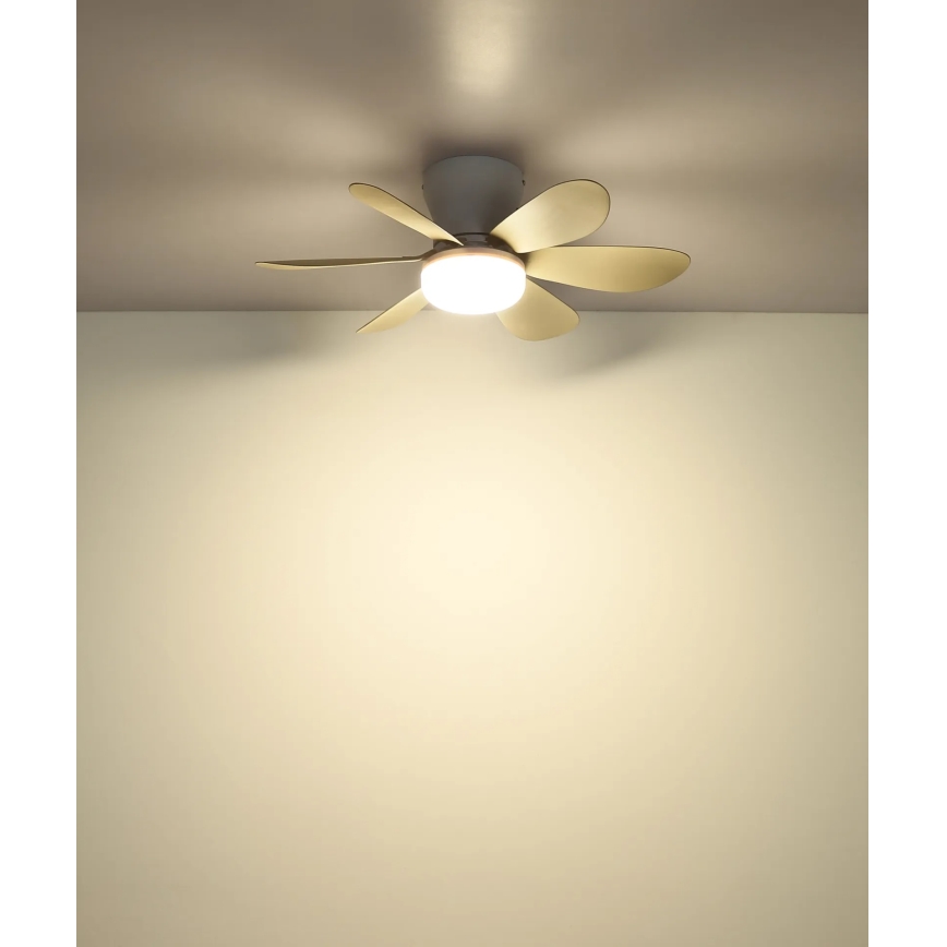 Globo - Ventilateur de plafond LED dimmable LED/5W/230V 2700-6500K beige + télécommande
