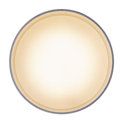 Globo 12015N - Plafonnier LED JENNY LED/8W/230V + LED/4W/230V