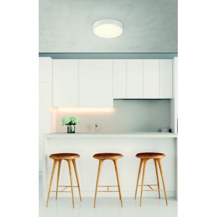 Globo - LED dimbare plafondlamp LED/22W/230V