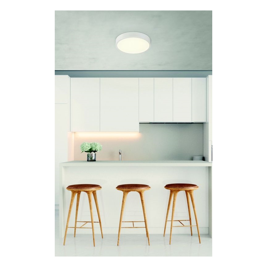 Globo - LED dimbare plafondlamp LED/22W/230V