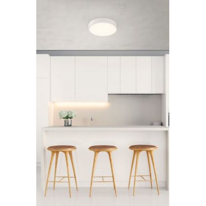 Globo - LED dimbare plafondlamp LED/22W/230V