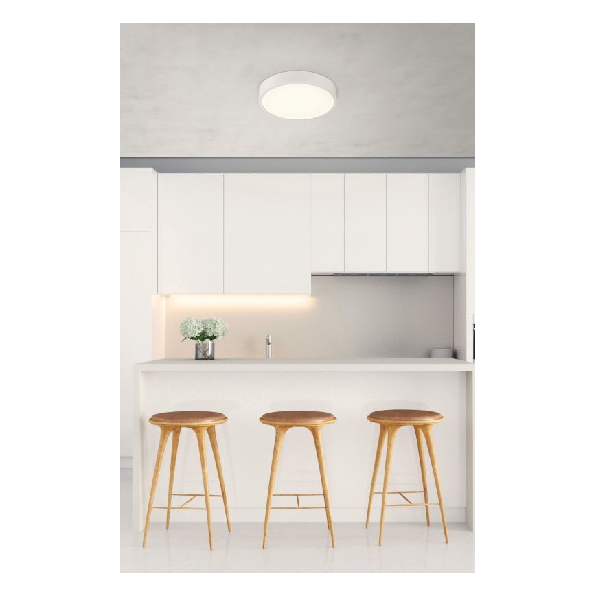 Globo - LED dimbare plafondlamp LED/22W/230V