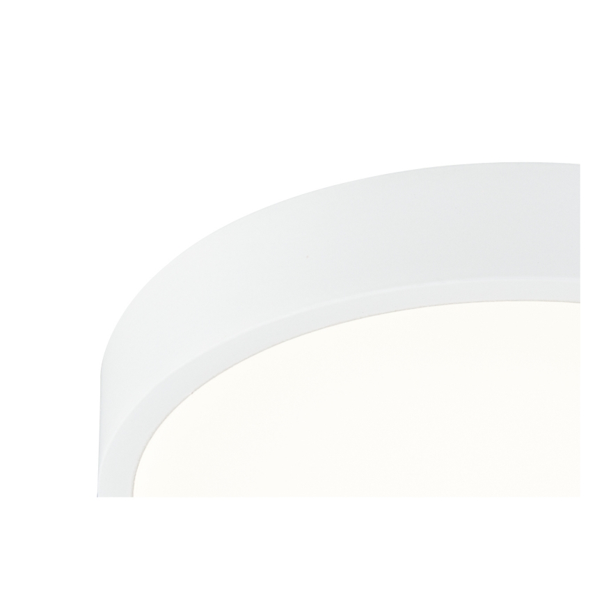 Globo - LED dimbare plafondlamp LED/22W/230V