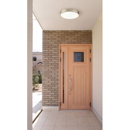 Globo - Dimbare LED-plafondlamp LED/22W/230V