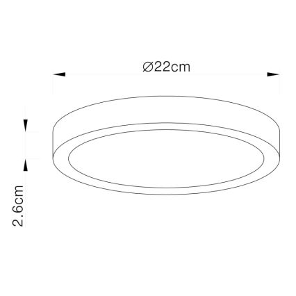 Globo - LED Plafondlamp LED/28W/230V