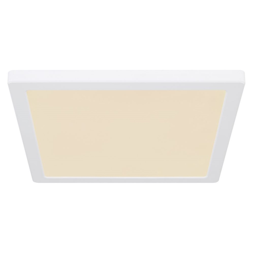 Globo - LED Plafondlamp LED/24W/230V 3000/4000/6500K wit