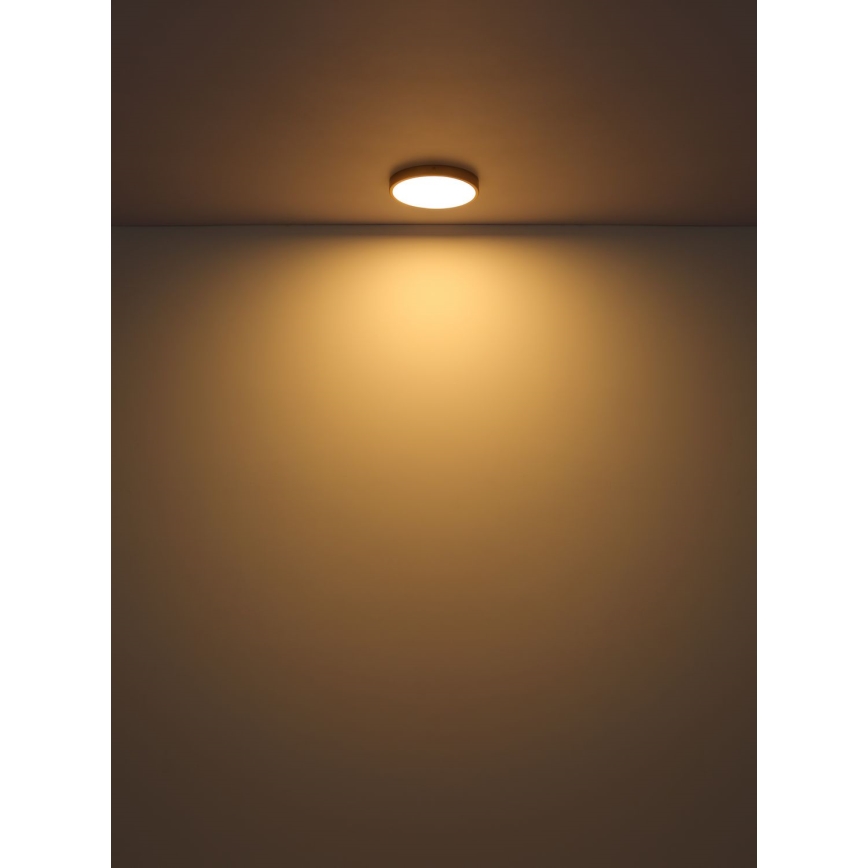 Globo - LED Plafondlamp LED/30W/230V diameter 45 cm
