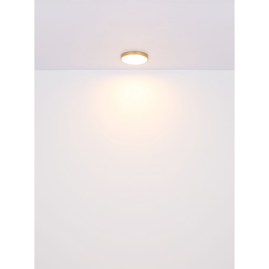 Globo - LED Plafondlamp LED/30W/230V diameter 45 cm