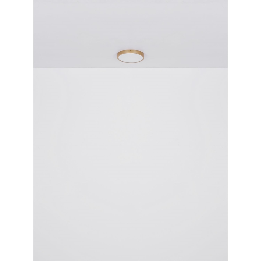 Globo - LED Plafondlamp LED/30W/230V diameter 45 cm