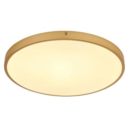 Globo - LED Plafondlamp LED/30W/230V diameter 45 cm