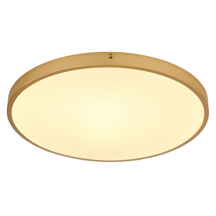 Globo - LED Plafondlamp LED/30W/230V diameter 45 cm
