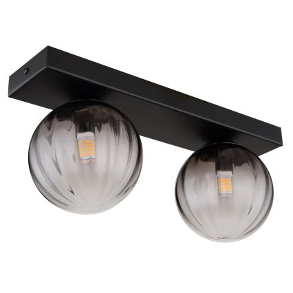 Globo - Plafondlamp 2xG9/10W/230V