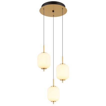Globo - Suspension filaire LED/20W/230V
