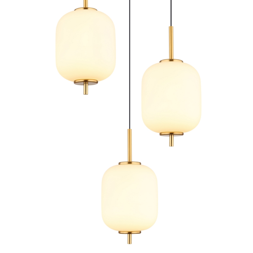 Globo - Suspension filaire LED/20W/230V