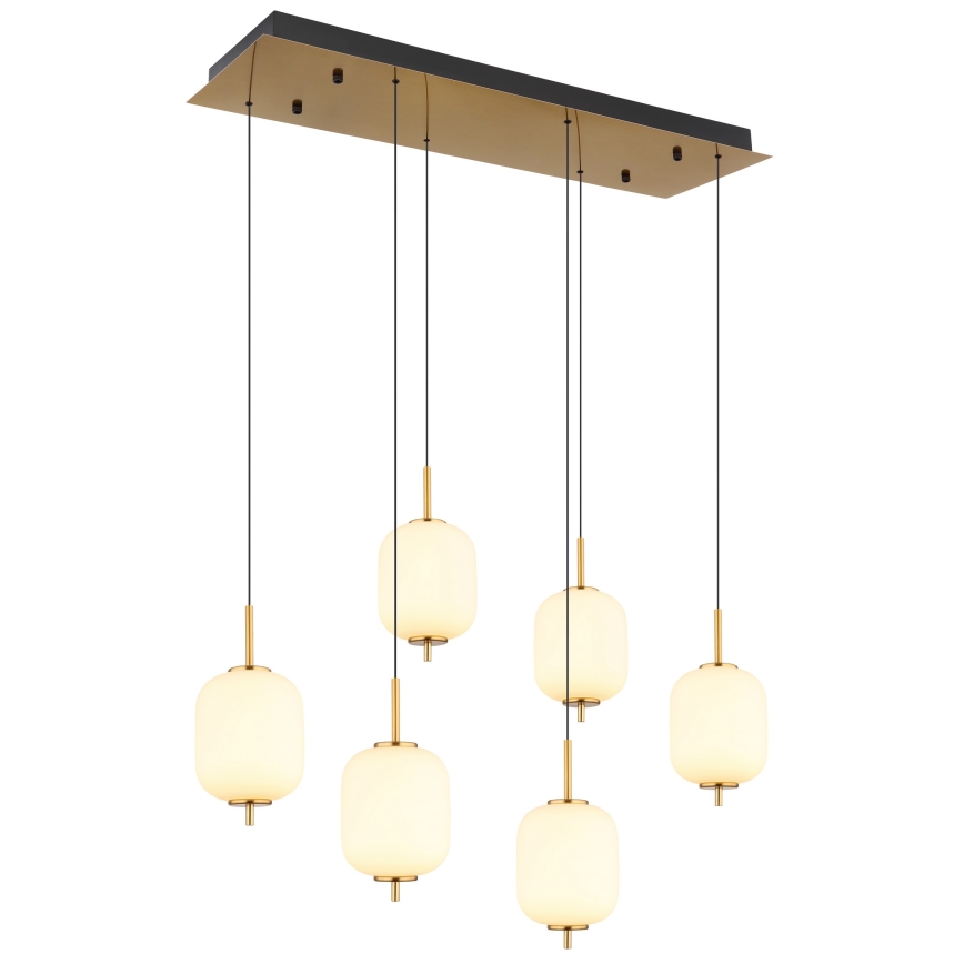 Globo - Suspension filaire 6xLED/6,7W/230V