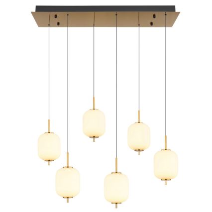 Globo - Suspension filaire 6xLED/6,7W/230V