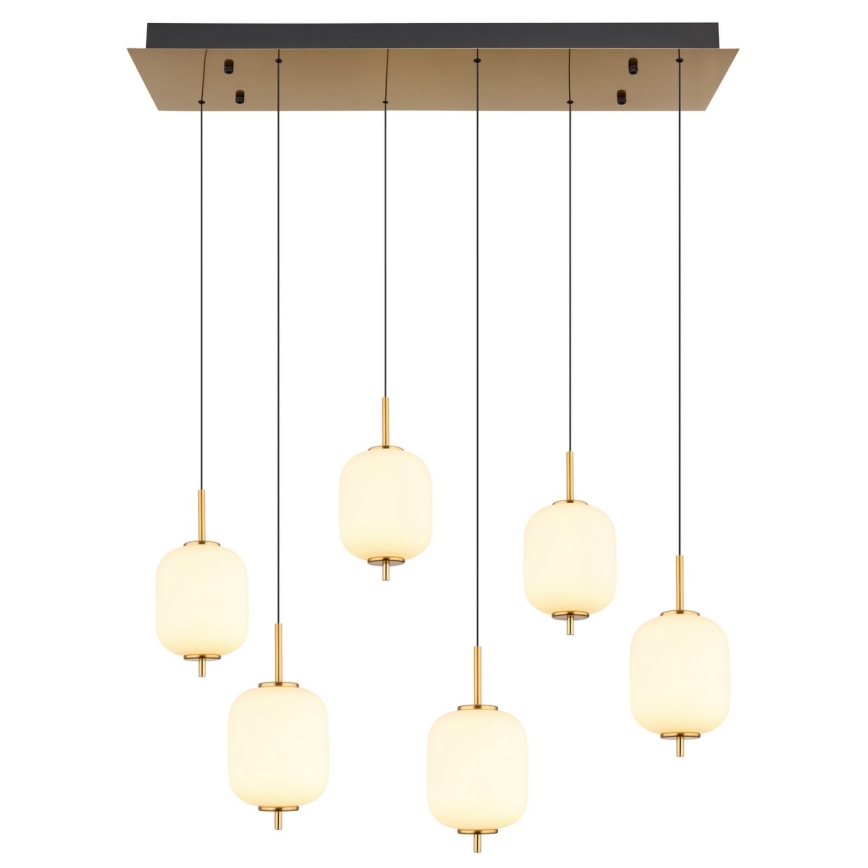 Globo - Suspension filaire 6xLED/6,7W/230V