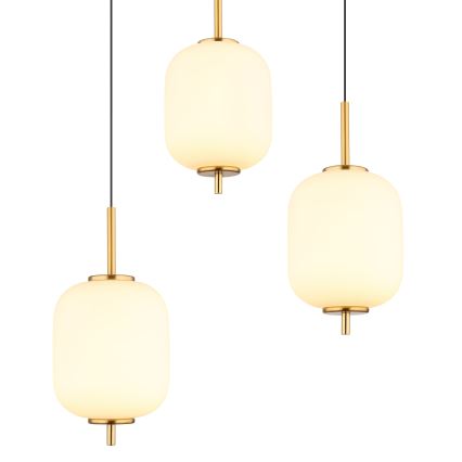 Globo - Suspension filaire 6xLED/6,7W/230V